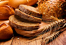 “O direito à alimentação é uma questão de justiça”