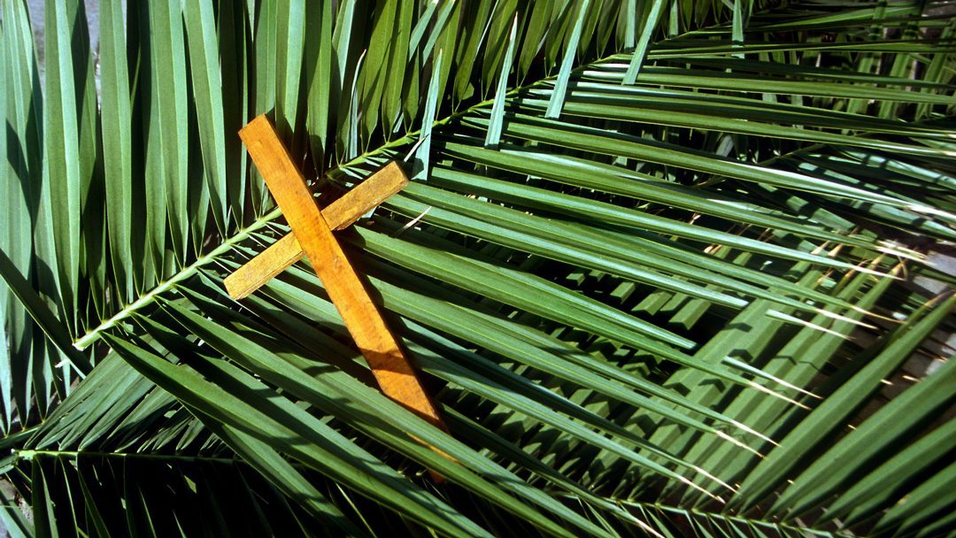Domingo de Ramos
