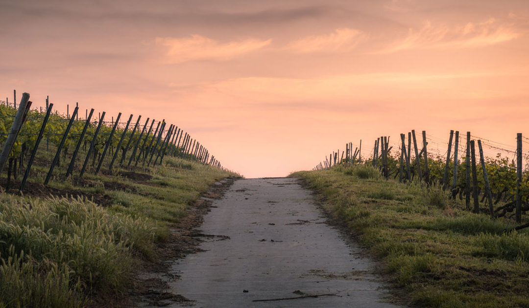 Conhecer e abraçar o caminho (Jesus)