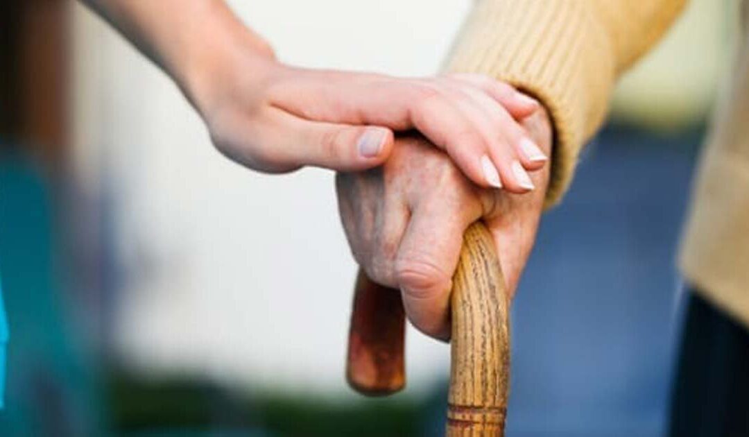 Jesus, o compassivo que nos sacia
